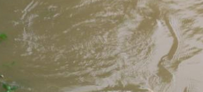 使用設(shè)備后的排放處理圖展示 使用設(shè)備后的排放處理圖展示